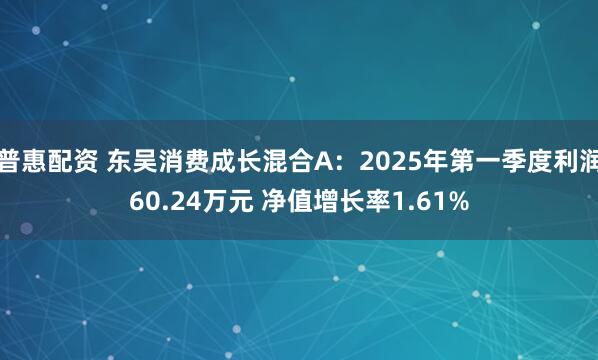 普惠配资 东吴消费成长混合A：2025年第一季度利润60.24万元 净值增长率1.61%