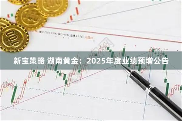 新宝策略 湖南黄金：2025年度业绩预增公告
