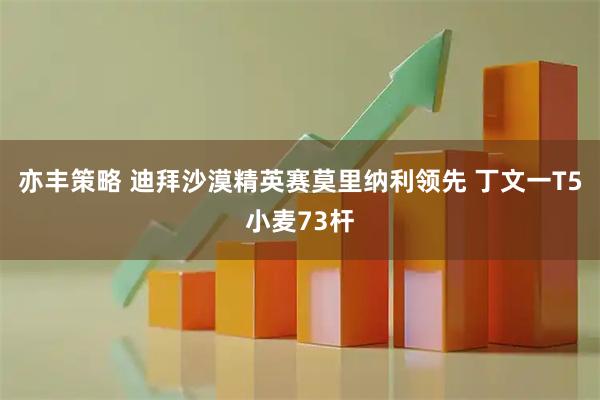 亦丰策略 迪拜沙漠精英赛莫里纳利领先 丁文一T5小麦73杆