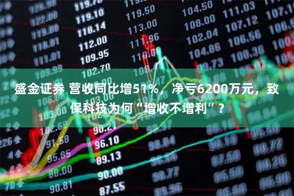 盛金证券 营收同比增51%，净亏6200万元，致保科技为何“增收不增利”？